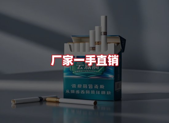 专业团队